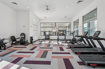 A gym with treadmills and exercise equipment.